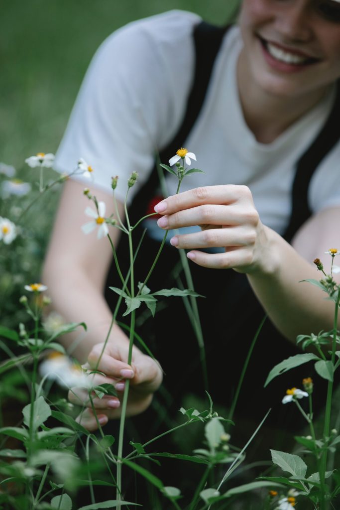 garden maintenance Kingswood